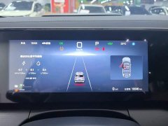 BYD Song L DM-i 112km Leading Edition - ფოტო 5