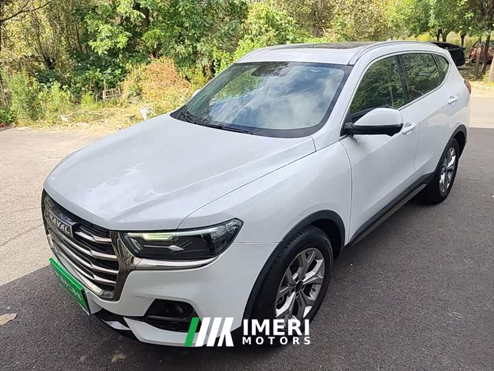 Haval H6 National Trend 1.5T Automatic Champion Edition - ავტომობილი ჩინეთიდან