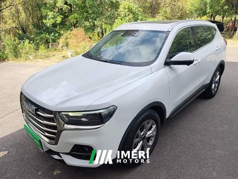 2021 Haval H6 National Trend 1.5T Automatic Champion Edition - ავტომობილი ჩინეთიდან