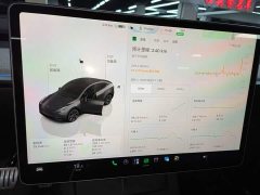 Tesla Model Y Long Range All-Wheel Drive - ფოტო 12