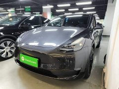 Tesla Model Y Long Range All-Wheel Drive - ფოტო 2