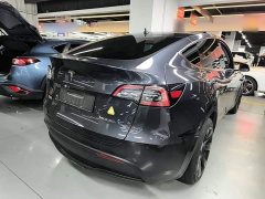 Tesla Model Y Long Range All-Wheel Drive - ფოტო 7