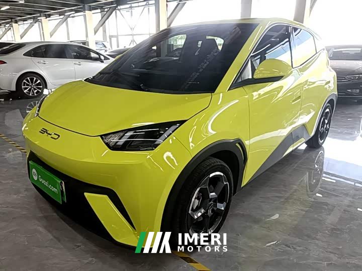 BYD Seagull Glory Edition 305km Freedom Version - ავტომობილი ჩინეთიდან