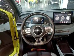 BYD Seagull Glory Edition 305km Freedom Version - ფოტო 11