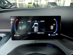 BYD Seagull Glory Edition 305km Freedom Version - ფოტო 12