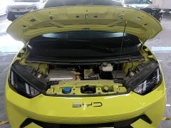 BYD Seagull Glory Edition 305km Freedom Version - ფოტო 20