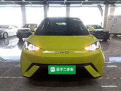 BYD Seagull Glory Edition 305km Freedom Version - ფოტო 3
