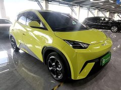 BYD Seagull Glory Edition 305km Freedom Version - ფოტო 4