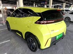 BYD Seagull Glory Edition 305km Freedom Version - ფოტო 5