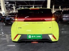 BYD Seagull Glory Edition 305km Freedom Version - ფოტო 6