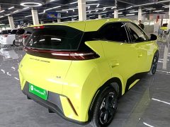 BYD Seagull Glory Edition 305km Freedom Version - ფოტო 7