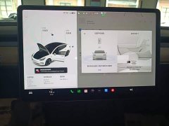 Tesla Model 3 Standard Range RWD Upgrade 3D6 - ფოტო 12