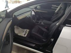 Tesla Model 3 Standard Range RWD Upgrade 3D6 - ფოტო 15
