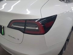 Tesla Model 3 Standard Range RWD Upgrade 3D6 - ფოტო 8