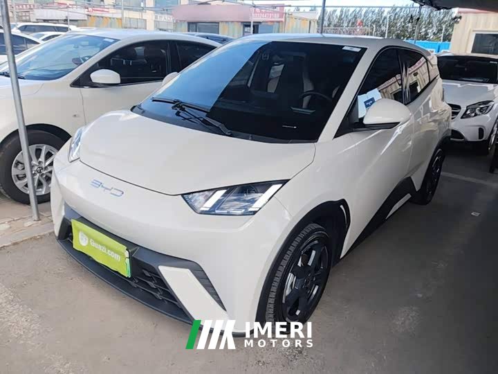 BYD Seagull Vitality Edition - ავტომობილი ჩინეთიდან