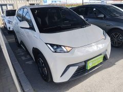 BYD Seagull Vitality Edition - ფოტო 4