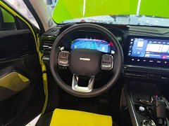 Haval Cool Dog 1.5T DCT AWD Trendy Wilderness Edition - ფოტო 11