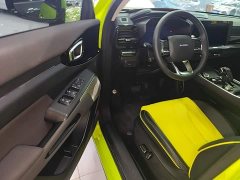 Haval Cool Dog 1.5T DCT AWD Trendy Wilderness Edition - ფოტო 16
