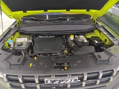Haval Cool Dog 1.5T DCT AWD Trendy Wilderness Edition - ფოტო 20