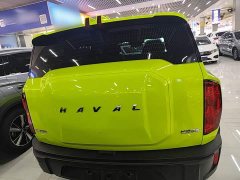 Haval Cool Dog 1.5T DCT AWD Trendy Wilderness Edition - ფოტო 6