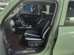 Tank 300 2021 Urban Edition 2.0T Manual - ფოტო 15