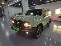 Tank 300 2021 Urban Edition 2.0T Manual - ფოტო 2