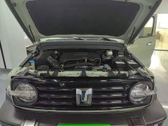 Tank 300 2021 Urban Edition 2.0T Manual - ფოტო 20