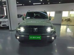 Tank 300 2021 Urban Edition 2.0T Manual - ფოტო 3