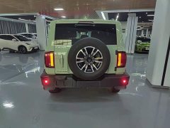 Tank 300 2021 Urban Edition 2.0T Manual - ფოტო 6