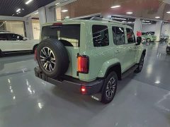 Tank 300 2021 Urban Edition 2.0T Manual - ფოტო 7