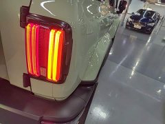 Tank 300 2021 Urban Edition 2.0T Manual - ფოტო 8