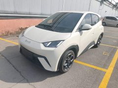 BYD Seagull Glory Edition 305km Freedom Version - ფოტო 1