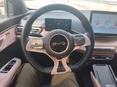 BYD Seagull Glory Edition 305km Freedom Version - ფოტო 11