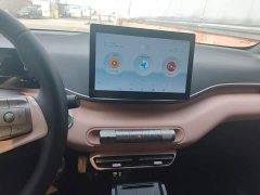 BYD Seagull Glory Edition 305km Freedom Version - ფოტო 13