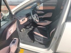BYD Seagull Glory Edition 305km Freedom Version - ფოტო 16