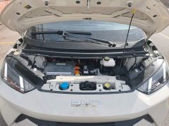 BYD Seagull Glory Edition 305km Freedom Version - ფოტო 20