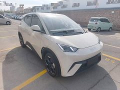 BYD Seagull Glory Edition 305km Freedom Version - ფოტო 4