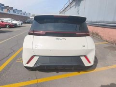 BYD Seagull Glory Edition 305km Freedom Version - ფოტო 6