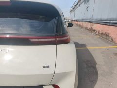 BYD Seagull Glory Edition 305km Freedom Version - ფოტო 8