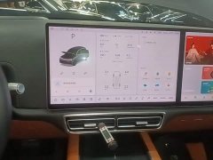 Li Auto L8 Pro - ფოტო 13
