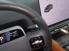 Li Auto L8 Pro - ფოტო 14