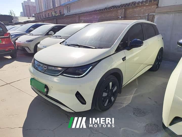 BYD Dolphin Smart Drive 410km Fashion Edition - ავტომობილი ჩინეთიდან