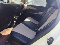 BYD Dolphin Smart Drive 410km Fashion Edition - ფოტო 17