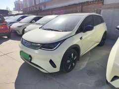 BYD Dolphin Smart Drive 410km Fashion Edition - ფოტო 2