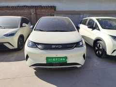 BYD Dolphin Smart Drive 410km Fashion Edition - ფოტო 3