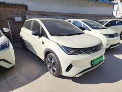 BYD Dolphin Smart Drive 410km Fashion Edition - ფოტო 4