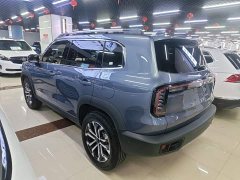 Great Wall Dachshund 2026 1.5T DCT Border Collie Edition - ფოტო 5
