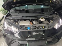 BYD Seagull Freedom Edition - ფოტო 20