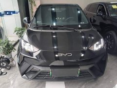 BYD Seagull Freedom Edition - ფოტო 3