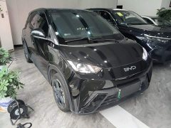 BYD Seagull Freedom Edition - ფოტო 4